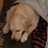 Siddharth_Tewari
